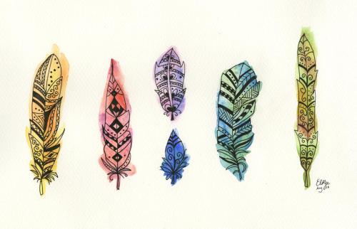 Colourful Feathers