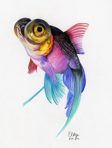 Goldfish Reimagined